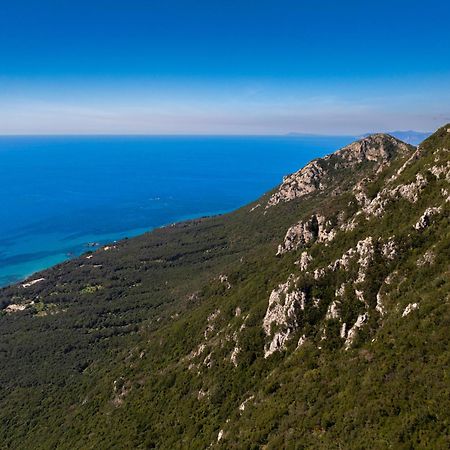 Artemis Prasoudi Beach Halikounas المظهر الخارجي الصورة